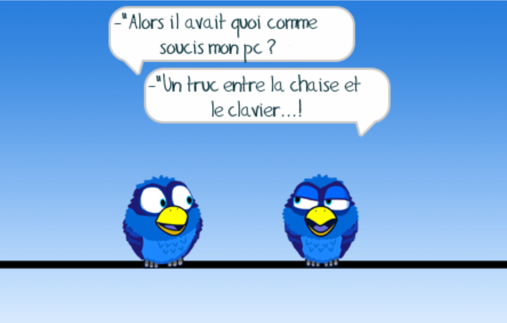 chaise-clavier-bird.png